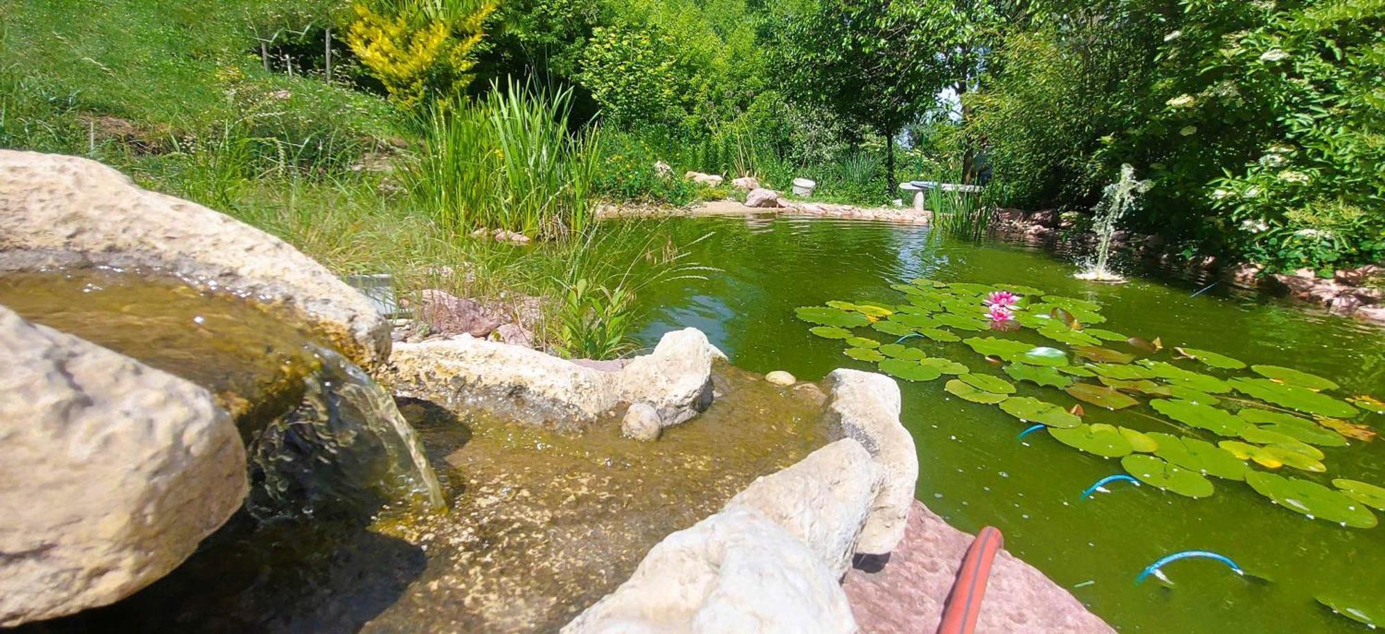 Villa Verteskacsa Vertesacsa Bagian luar foto